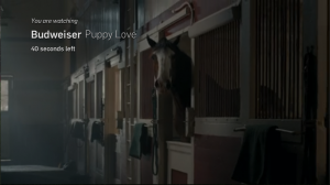 Budweiser Puppy Love